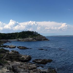 Meet your Posher, Samuel